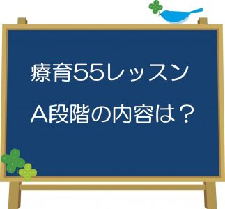 四谷学院療育55段階プログラムの内容は？どんなことを学ぶの？【A段階】 | 自閉症・発達障害の療育_四谷学院発達支援ブログ